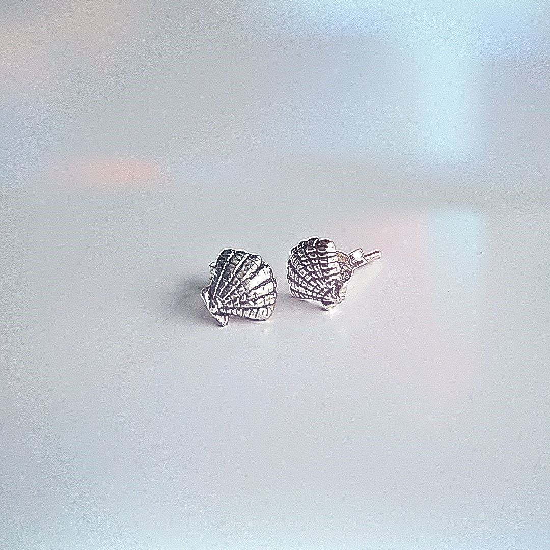 Oorknopjes met schelp zilver
