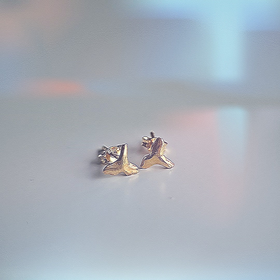 Oorknopjes met walvisvin goud op zilver